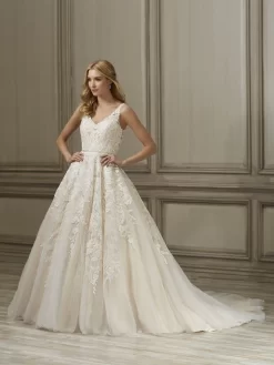 Adrianna Papell Ember V-Neckline Wedding Gown