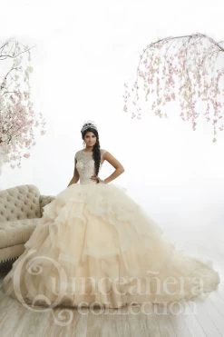 House Of Wu 26886 Jewel Neckline Quinceanera Gown