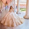 Princesa By Ariana Vara PR30153 Rose/Gold Quince Dress